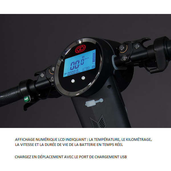 Affichage numérique LCD du E-Scooter Cruzaa